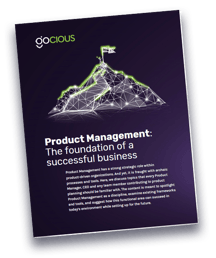Free eBook – Product Management: Foundation of a successful business
