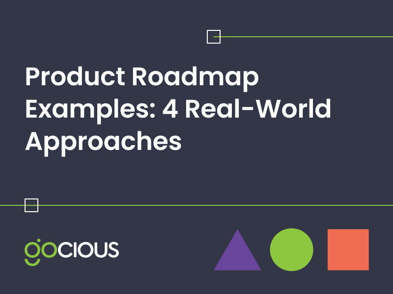 Real World Product Roadmap Examples