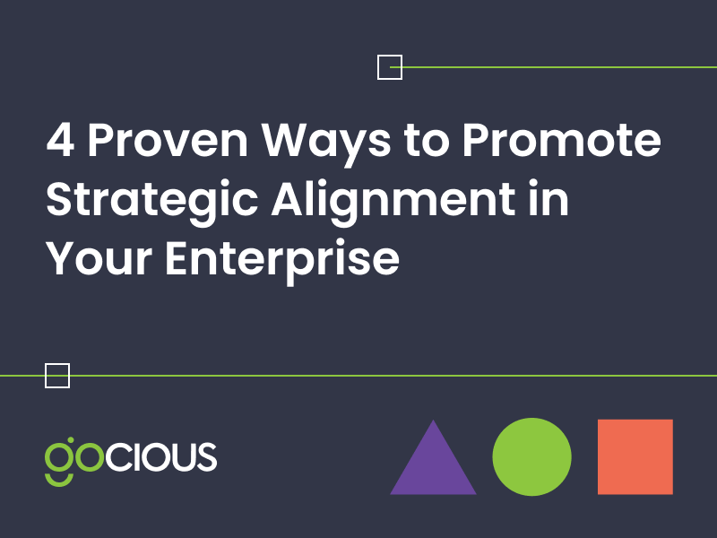 Product Strategies for Manufacturing Enterprises
