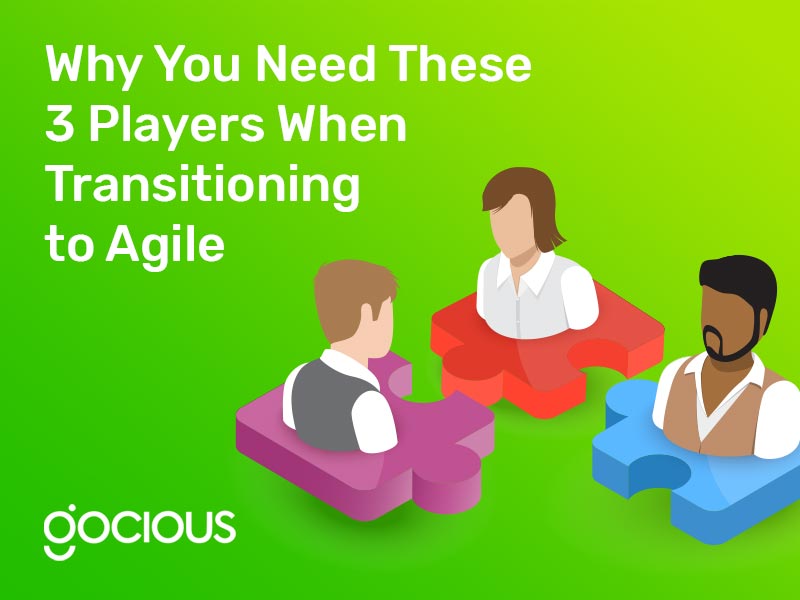 Why You Need These 3 Players When Transitioning to Agile